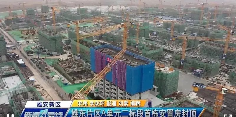 焦點(diǎn)！大將軍驚艷亮相雄安德維斯建博會，流量爆棚引圍觀！(圖7)