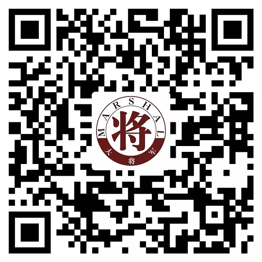 攻略丨了解多姿多彩的瓷磚紋理，才能裝出時尚有范的美好生活！
(圖14)