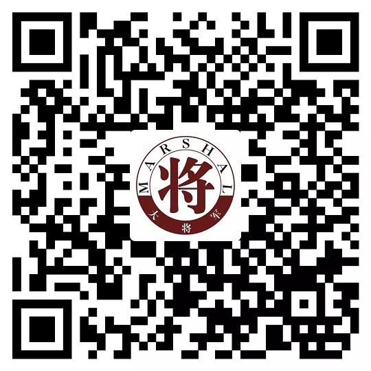 攻略丨了解多姿多彩的瓷磚紋理，才能裝出時尚有范的美好生活！
(圖11)