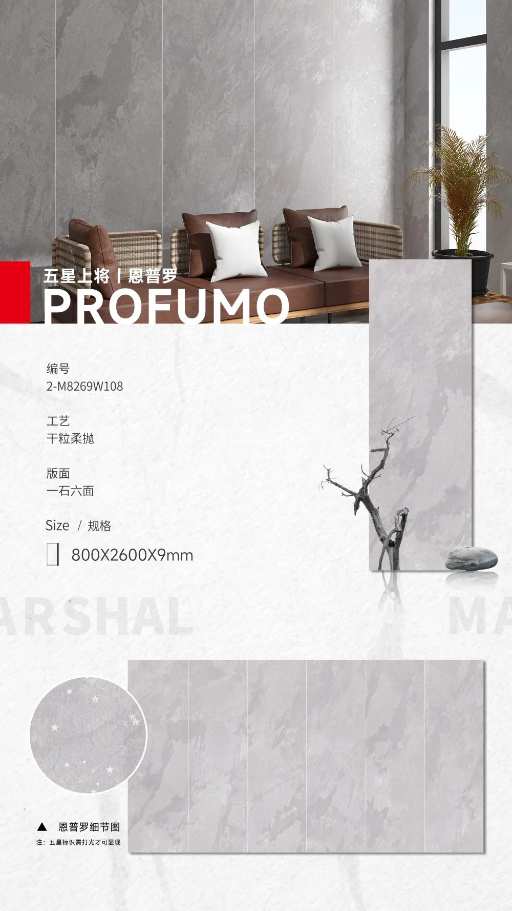 五星上將| 超級(jí)IP產(chǎn)品，打造理想生活樣本(圖7)