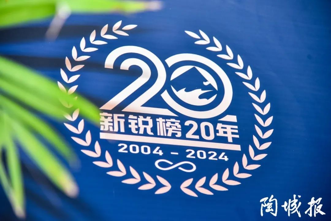 卓越力量，載譽領(lǐng)航！大將軍瓷磚實力斬獲“新銳榜20年卓越品牌”榮譽(圖3)
